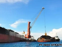 Investor China Berkunjung ke Indo Strait (PTIS) untuk Memperkuat Bisnis Pengiriman Batu Bara