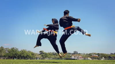 Sejarah Olahraga Silat