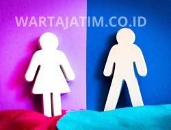 Peran Pemerintah dalam Mewujudkan Gender Equality di Indonesia