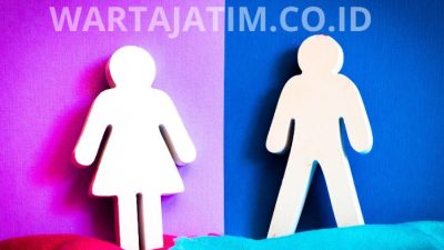 Peran Pemerintah dalam Mewujudkan Gender Equality di Indonesia.