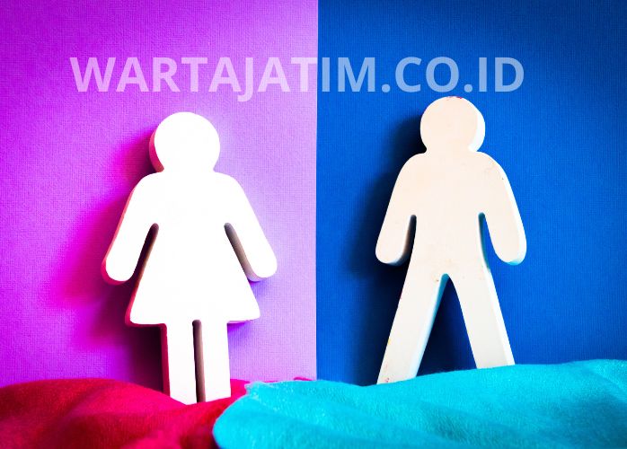 Peran Pemerintah dalam Mewujudkan Gender Equality di Indonesia.