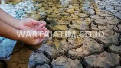 Malaysia Kekeringan Air, Panic Buying Terjadi Lagi