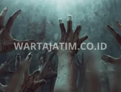 Narkotika Zombie Menyerang: Seperti Di Film! Bahaya Atau Tidak?