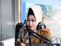 Laporan Harta Kekayaan Janggal, Hari Ini KPK Panggil Kadinkes Lampung Reihana