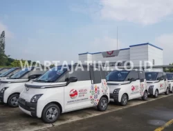 51 Unit Wuling Air EV Bekas KTT ASEAN 2023 Dijual Murah!