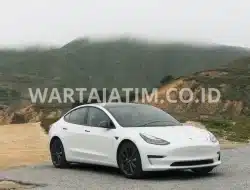 Tesla Kuasai Pangsa Pasar Mobil Listrik Dunia