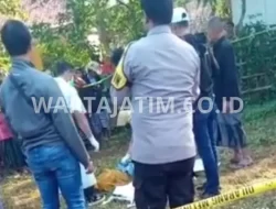 Geger di Bangkalan: Wanita Ditemukan Tewas dengan Leher Nyaris Putus