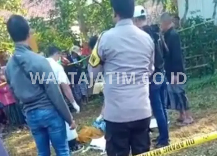 Geger di Bangkalan: Wanita Ditemukan Tewas dengan Leher Nyaris Putus