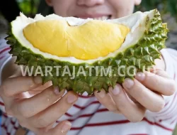 Apakah Durian Aman Untuk Ibu Hamil?