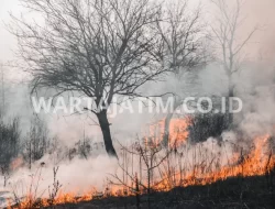 Asap Kebakaran Hutan Menjadi Polusi Udara Terparah di New York