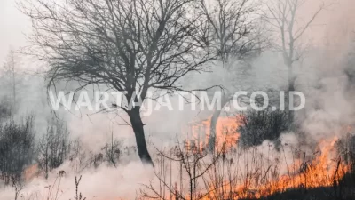 Asap Kebakaran Hutan Menjadi Polusi Udara Terparah di New York