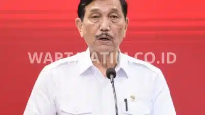 Pernyataan Luhut terhadap mobil bensin