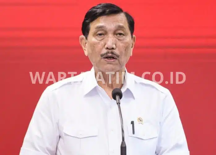 Pernyataan Luhut terhadap mobil bensin