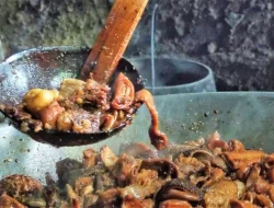 5 Cara Mengolah Daging Kambing yang Berbeda: Resep Hidangan Sederhana Idul Adha