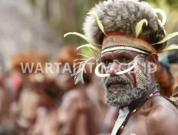 Kehendak Rakyat Papua atau Interes Kelompok? Mengungkap Ambisi di Balik Daerah Otonomi Baru