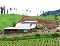 Teras Tegal, Cafe Ditempat Wisata Dengan View Alam Yang Fantastis