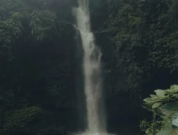 Coban Siuk: Rekomendasi Tempat Healing Yang Suguhkan Kecantikan Alam