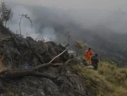 Kabar Baik: Turunnya Hujan Di Kawasan Gunung Bromo Mulai Padamkan Api