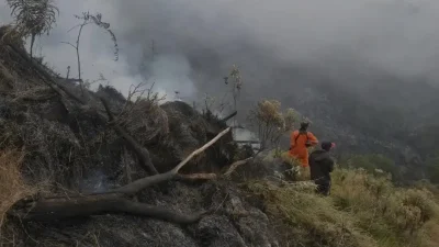 Kabar Baik: Turunnya Hujan Di Kawasan Gunung Bromo Mulai Padamkan Api