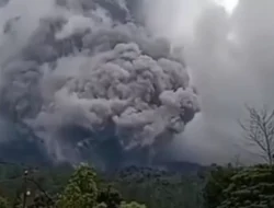 Pendaki Terjebak di Gunung Marapi: 42 Orang Belum Dievakuasi, BKSDA Sumbar Bergerak Cepat