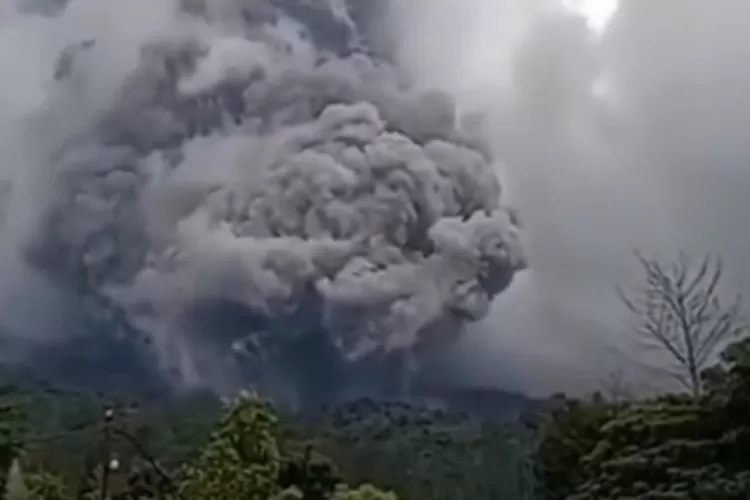 Pendaki Terjebak di Gunung Marapi: 42 Orang Belum Dievakuasi, BKSDA Sumbar Bergerak Cepat