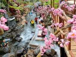 Tanaka Waterfall : Menikmati Keindahan Alami Suasana Jepang di Malang Selatan