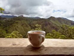 Pujon Kidul: Rekomendasi Cafe Tengah Sawah untuk Healing