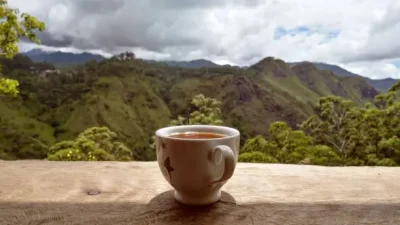 Pujon Kidul: Rekomendasi Cafe Tengah Sawah untuk Healing