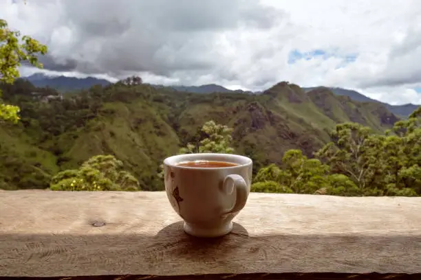 cafe tengah sawah