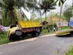 Truk Pengangkut Sapi Terguling di Jalur Pacitan, Diketahui Sopir Ikuti Google Maps