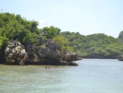 Pantai Pink Malang: Wisata Pantai di Malang yang Manjakan Mata dan Bikin Fresh