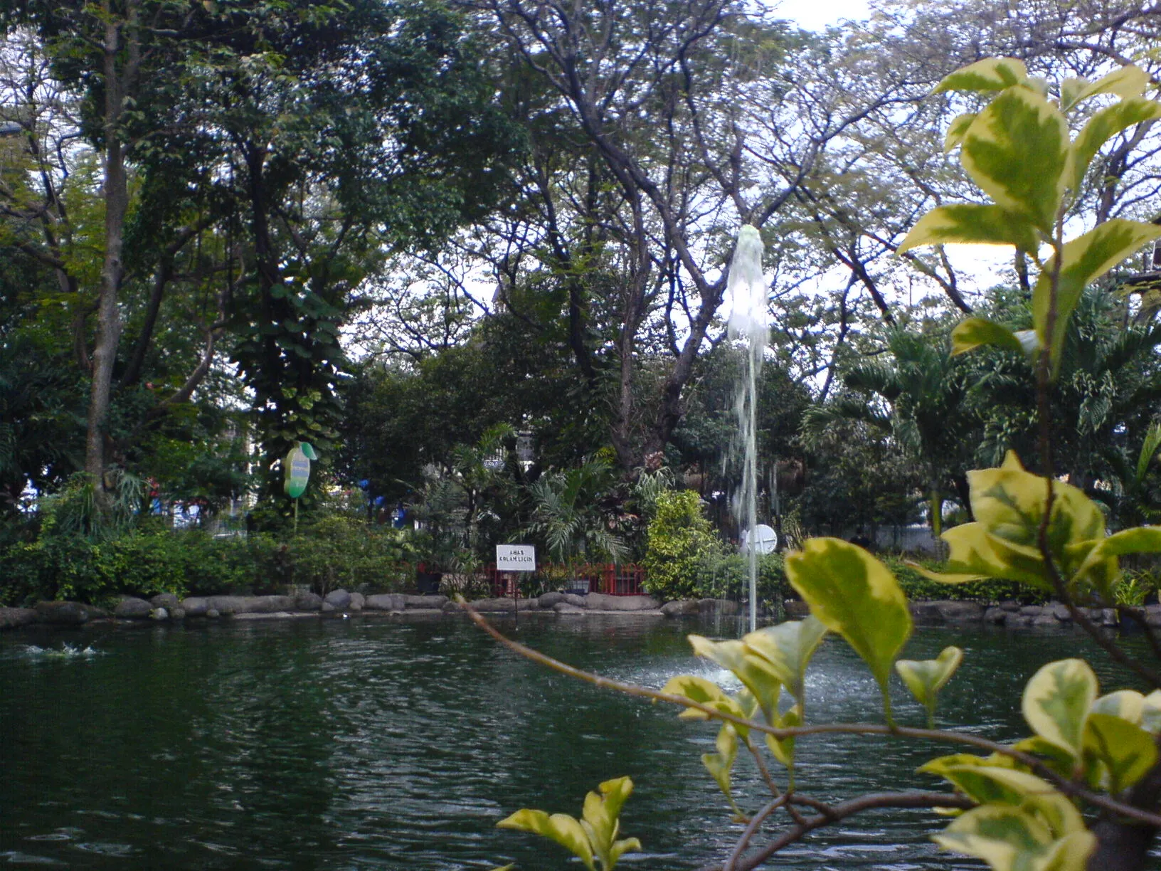 kebun bibit surabaya