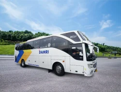 Liburan Nyaman dengan DAMRI: Tiket Bus Jakarta-Banyuwangi Tersedia Sekarang!