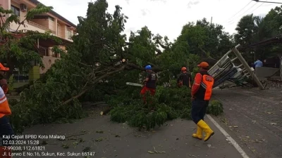 Amukan Angin Kencang Melanda Kota Malang!