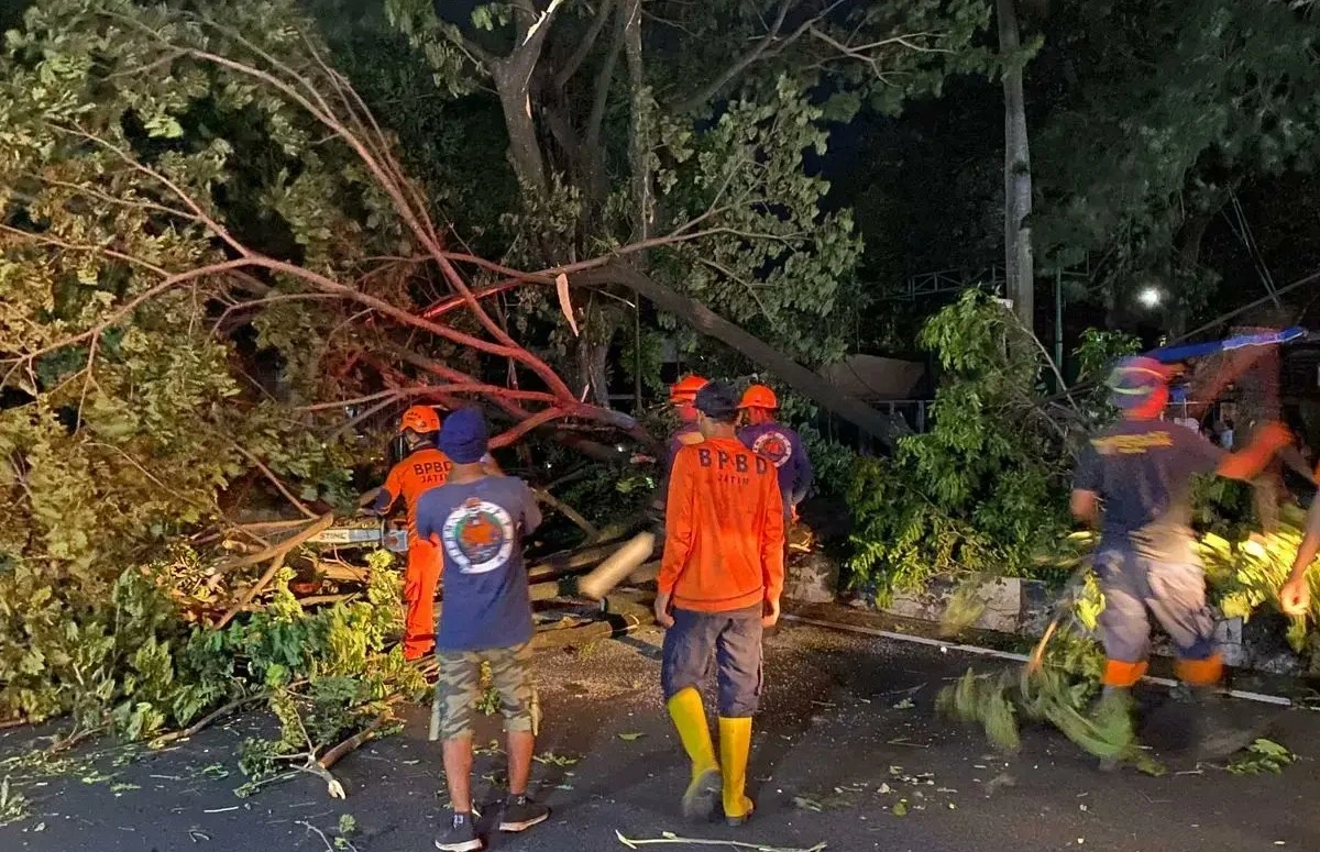 Angin Kencang Sebabkan Pohon Tumbang di Malang