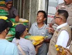 Mengungkap Kelicikan di Pasar Beras: Kasus Pengemasan Ulang Beras Bulog