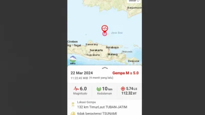 Gempa Tuban Dipicu Aktivitas Sesar Aktif di Laut Jawa, Ini Informasi Gempa Susulannya!