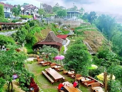 Lereng Asri Cafe: Tempat Nongkrong Instagramable dengan Pesona Alam yang Memukau