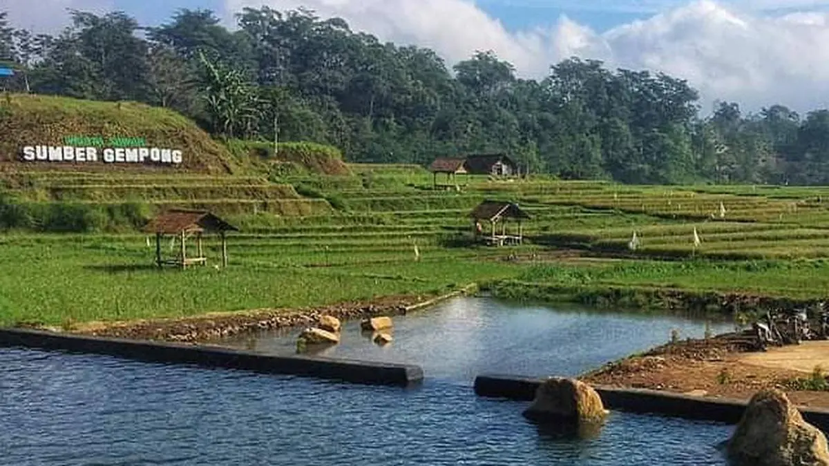 Wisata Sawah Sumber Gempong (dok. istimewa)