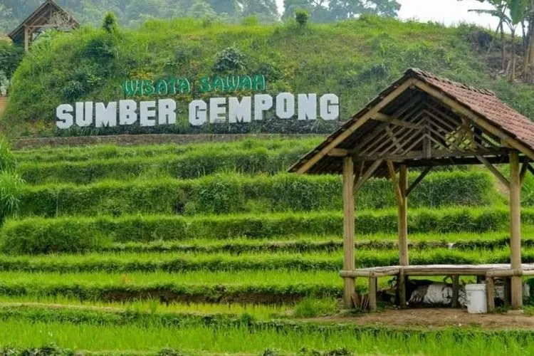 Wisata Sawah Sumber Gempong