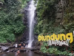 Surga Tersembunyi Air Terjun Dlundung Trawas: Daya Tarik, Lokasi, dan Harga Tiket Masuk