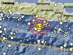 Gempa Dangkal Pacitan Hari Ini Magnitudo 4,2: Terasa Sampai Yogyakarta