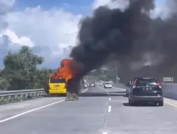 Mini Bus ELF Kebakaran di Tol Pandaan Arah Malang