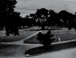 Alun-Alun Kota Malang Jaman Dulu, Cerita Sejarah dari Masa ke Masa