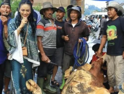 Rayakan Idul Adha: Krisdayanti Liburan di Malang Bersama Keluarga