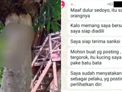 Heboh, Muncul Pelaku Dibalik Kucing Malang yang Dipaku