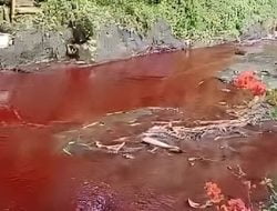 HEBOH! Air mengalir yang bewarna merah darah di Kidal, Tumpang