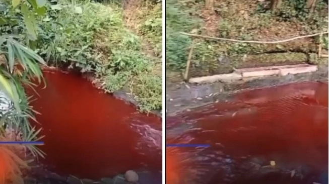 Air Sungai di Tumpang Mendadak Merah, Warga Malang Panik