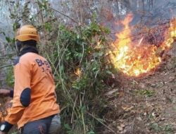 Kebakaran Lahan di Malang Akibat Puntung Rokok yang Dianggap Sepele Sampai Rugi Miliaran