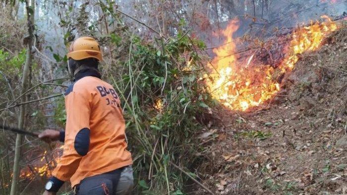 puntung rokok sebab kebakaran lahan